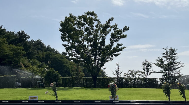樹木葬のイメージ