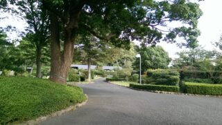 幡随院徳寿庵のサムネイル画像