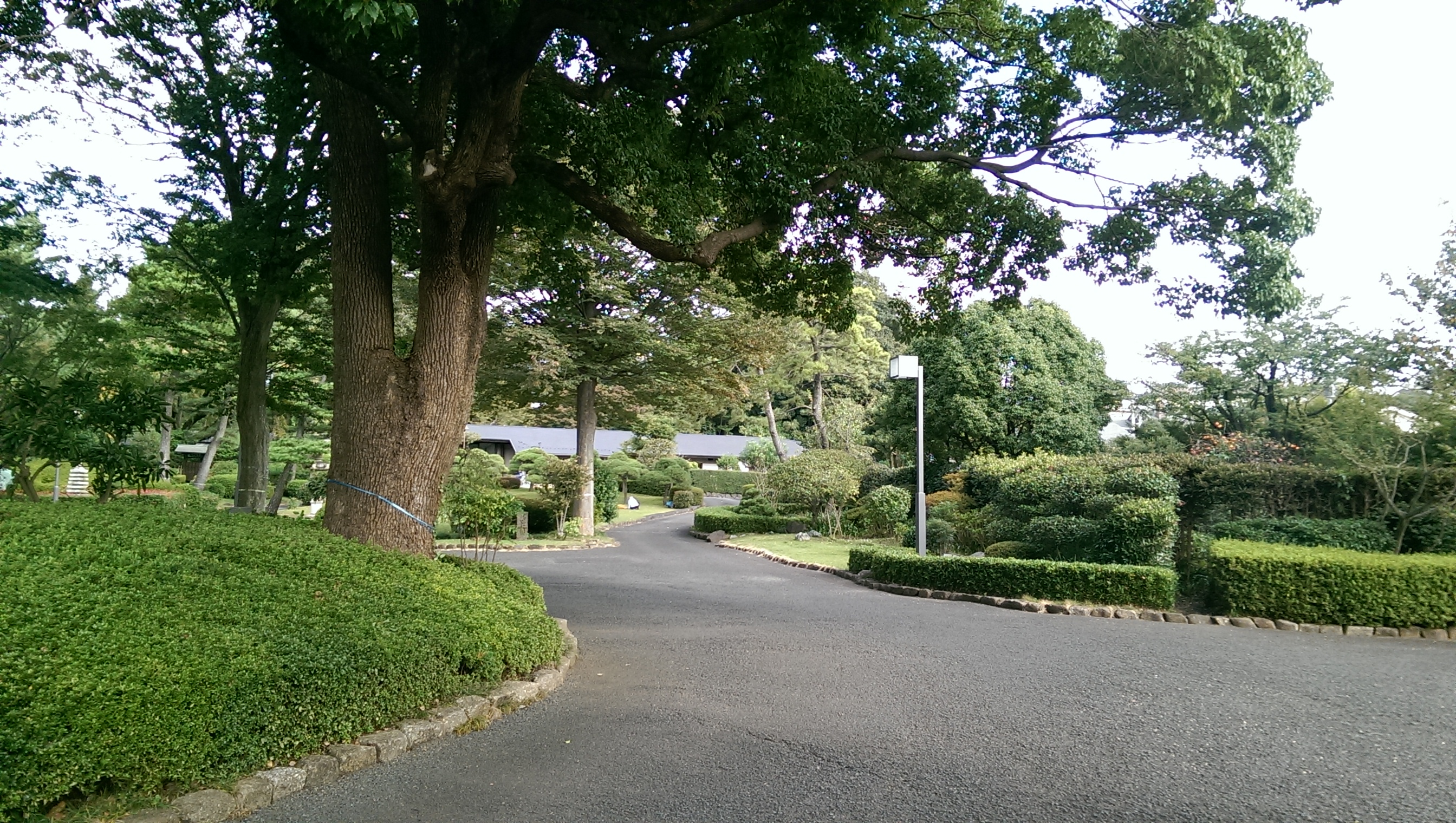 幡随院徳寿庵の画像