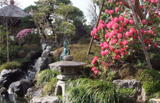 長徳寺のサムネイル画像