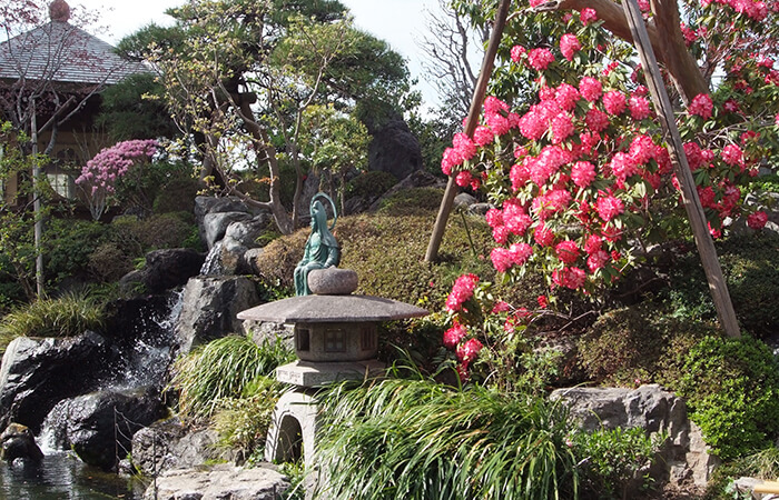 長徳寺の画像
