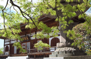 長徳寺のサムネイル画像