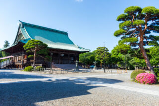 護国寺桂昌殿のサムネイル画像